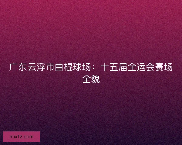 广东云浮市曲棍球场：十五届全运会赛场全貌